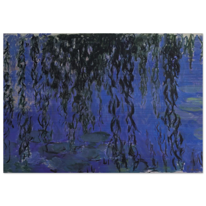 Water Lilies and Weeping Willow Branches - claude monet Brushed Aluminum Print - 70x100 cm / 28x40 inches | claude monet Aluminum Print | claude monet Prints