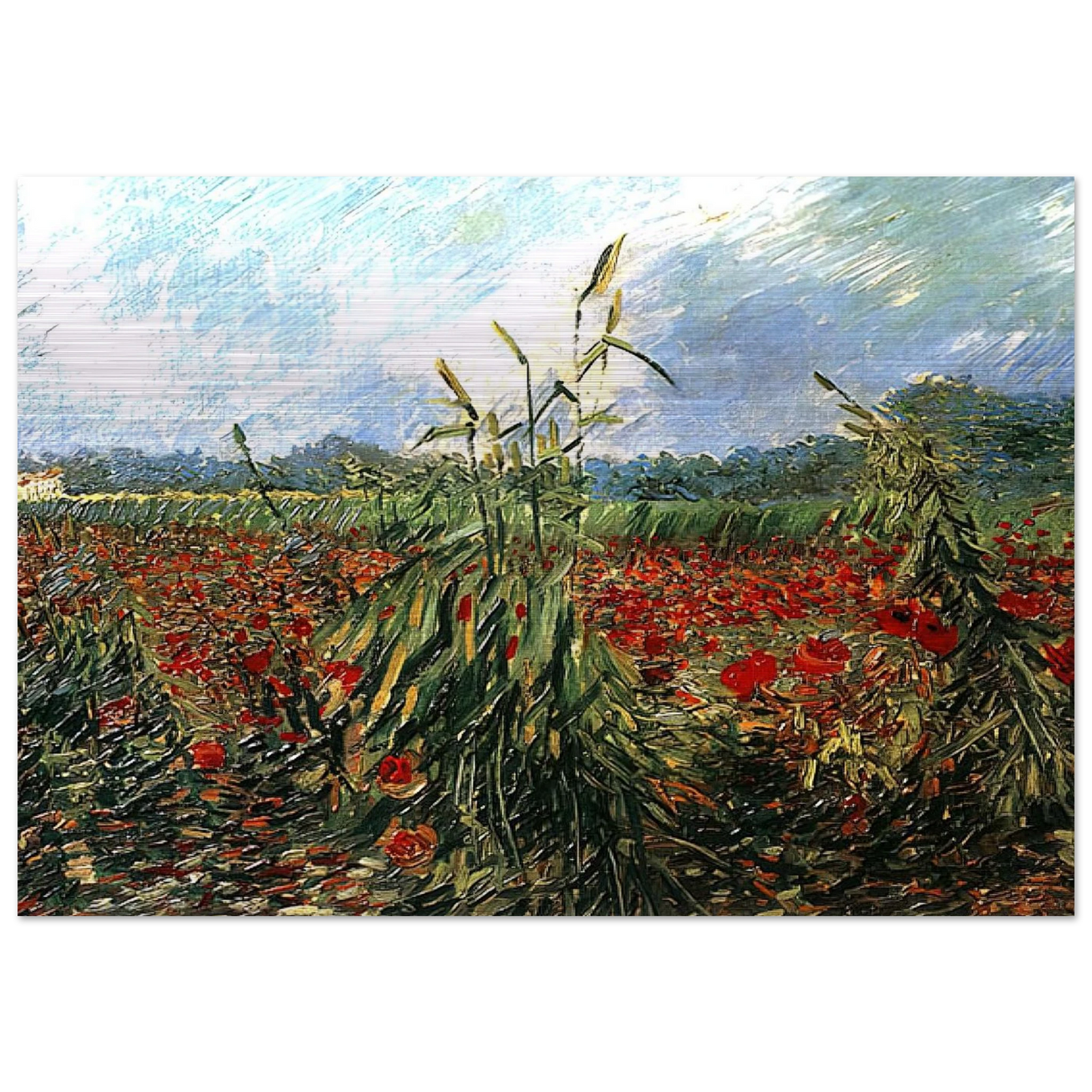 Green Ears of Wheat - Vincent van Gogh Brushed Aluminum Print - 70x100 cm / 28x40 inches | Vincent van Gogh Aluminum Print | Vincent van Gogh Prints