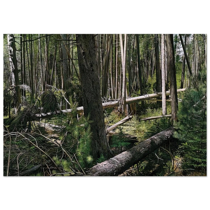 NEAR HUNTERS BEACH ACADIA NATIONAL PARK 2008 - Richard Estes Brushed Aluminum Print - 70x100 cm / 28x40 inches | Richard Estes Aluminum Print | Richard Estes Prints