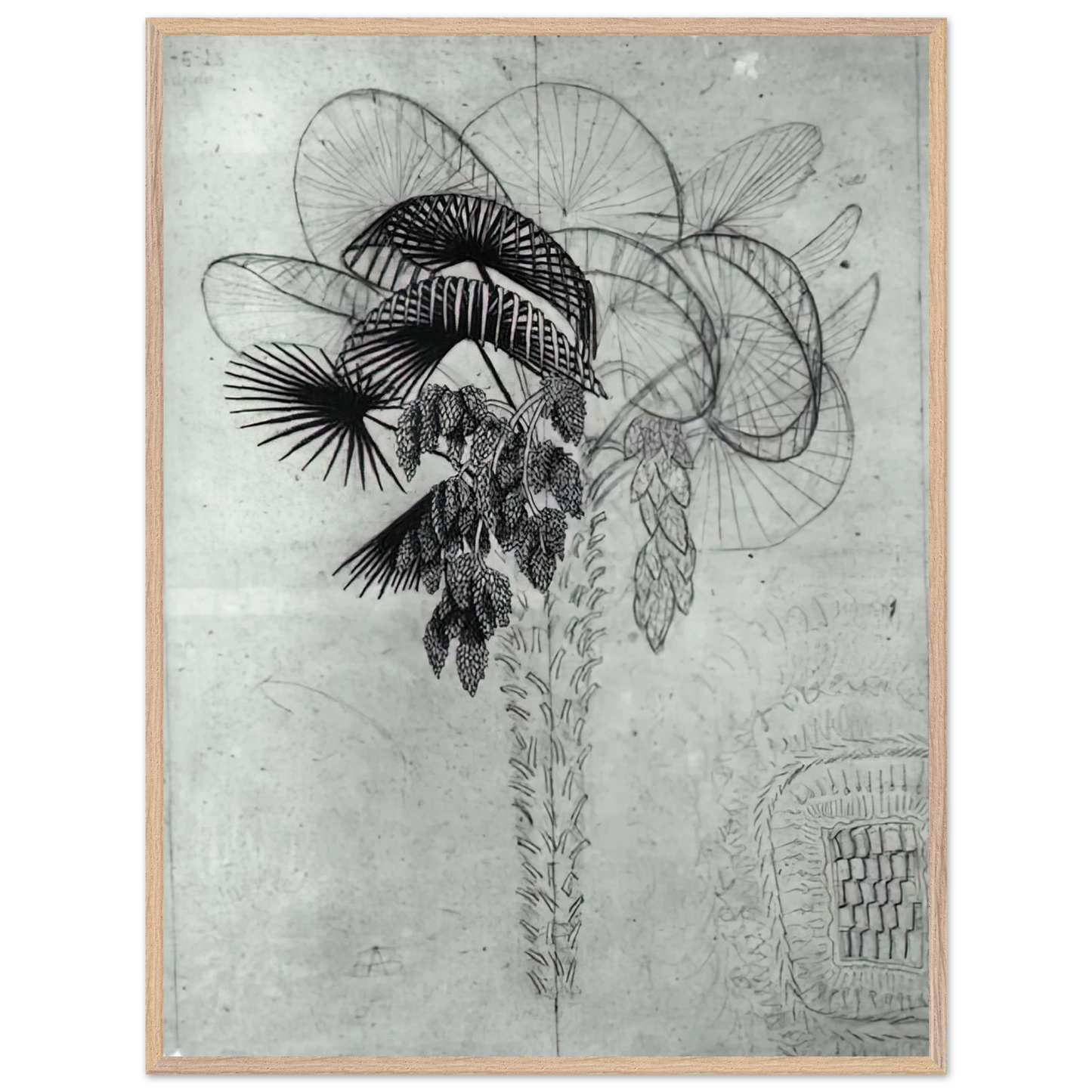 MC Escher - PALM TREE SKETCH Wall Art - 60x80 cm / 24x32 inches - Premium Wooden Framed Poster With Fine Art Paper - White frame