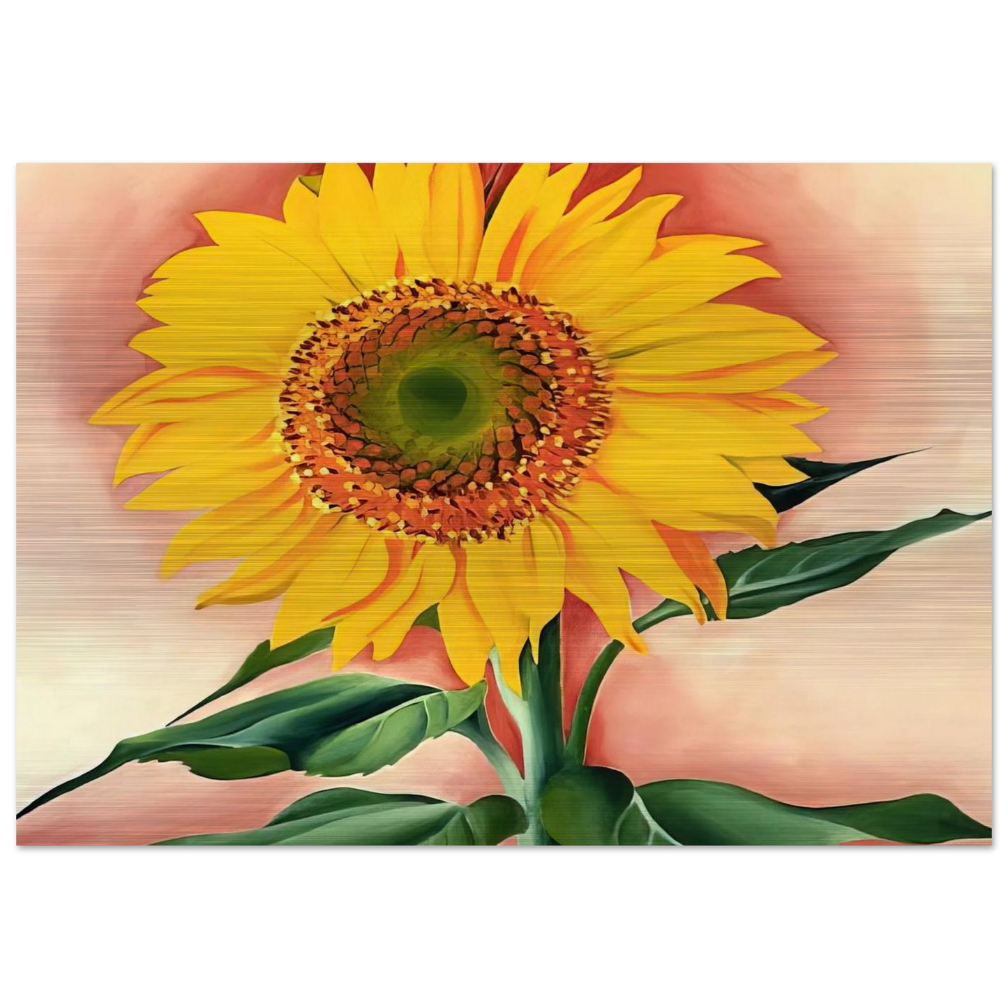 A Sunflower from Maggie - Georgia O'Keeffe Brushed Aluminum Print - 70x100 cm / 28x40 inches | Georgia O'Keeffe Aluminum Print | Georgia O'Keeffe Prints