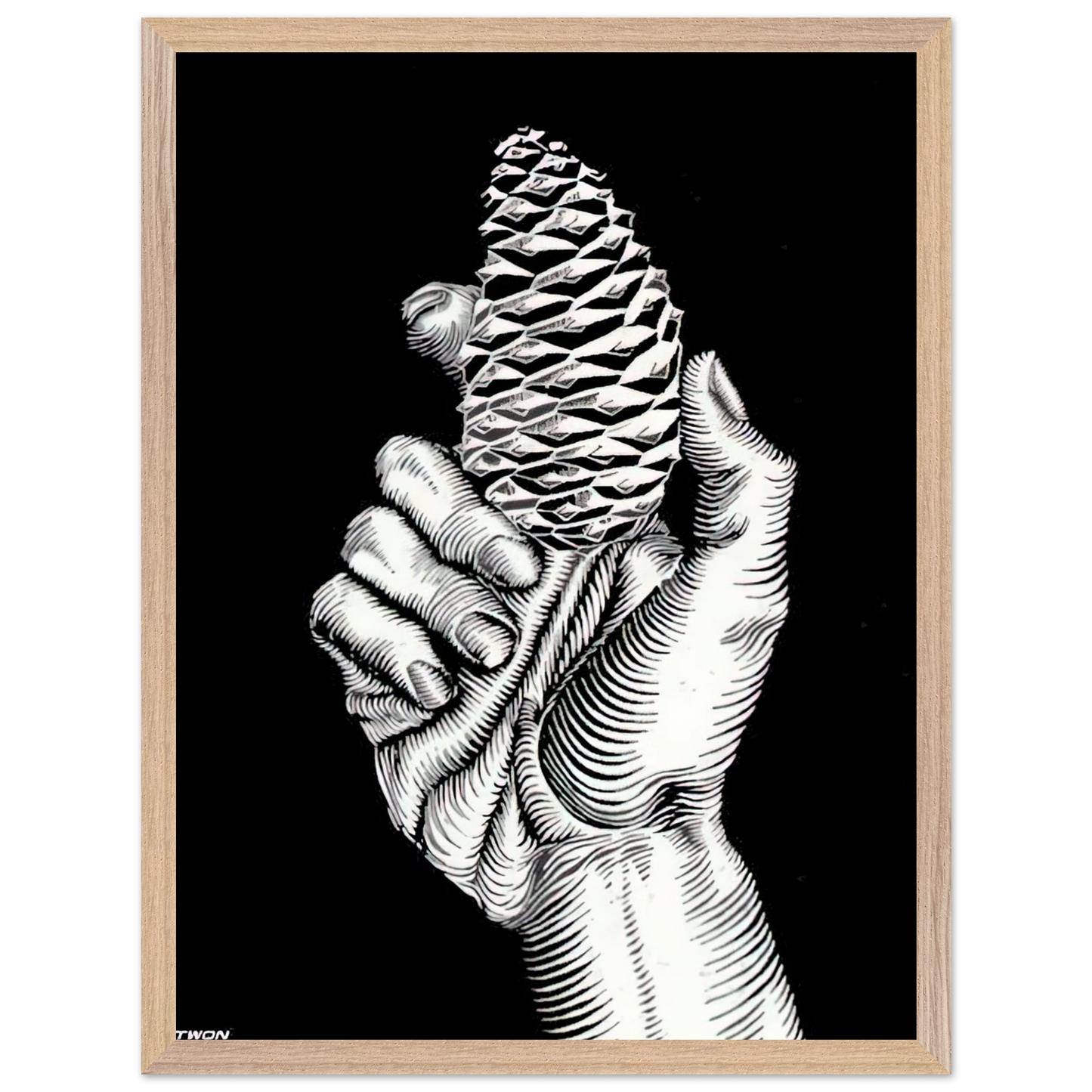 MC Escher - HAND WITH FIR CONE Wall Art - 60x80 cm / 24x32 inches - Premium Wooden Framed Poster With Fine Art Paper - White frame