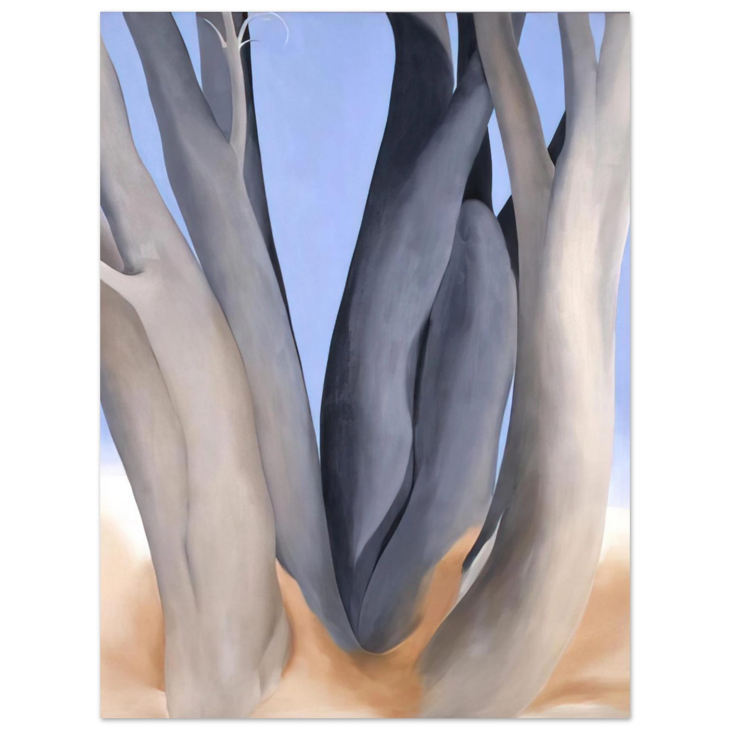 Georgia O'Keeffe - Dark Tree Trunks Fine Art Poster