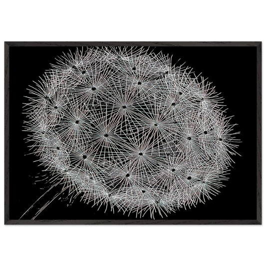 BLOWBALL II - MC Escher 70x100 cm / 28x40 inches Framed Art Print – Black Wooden Frame | Maurits Cornelis Escher Prints