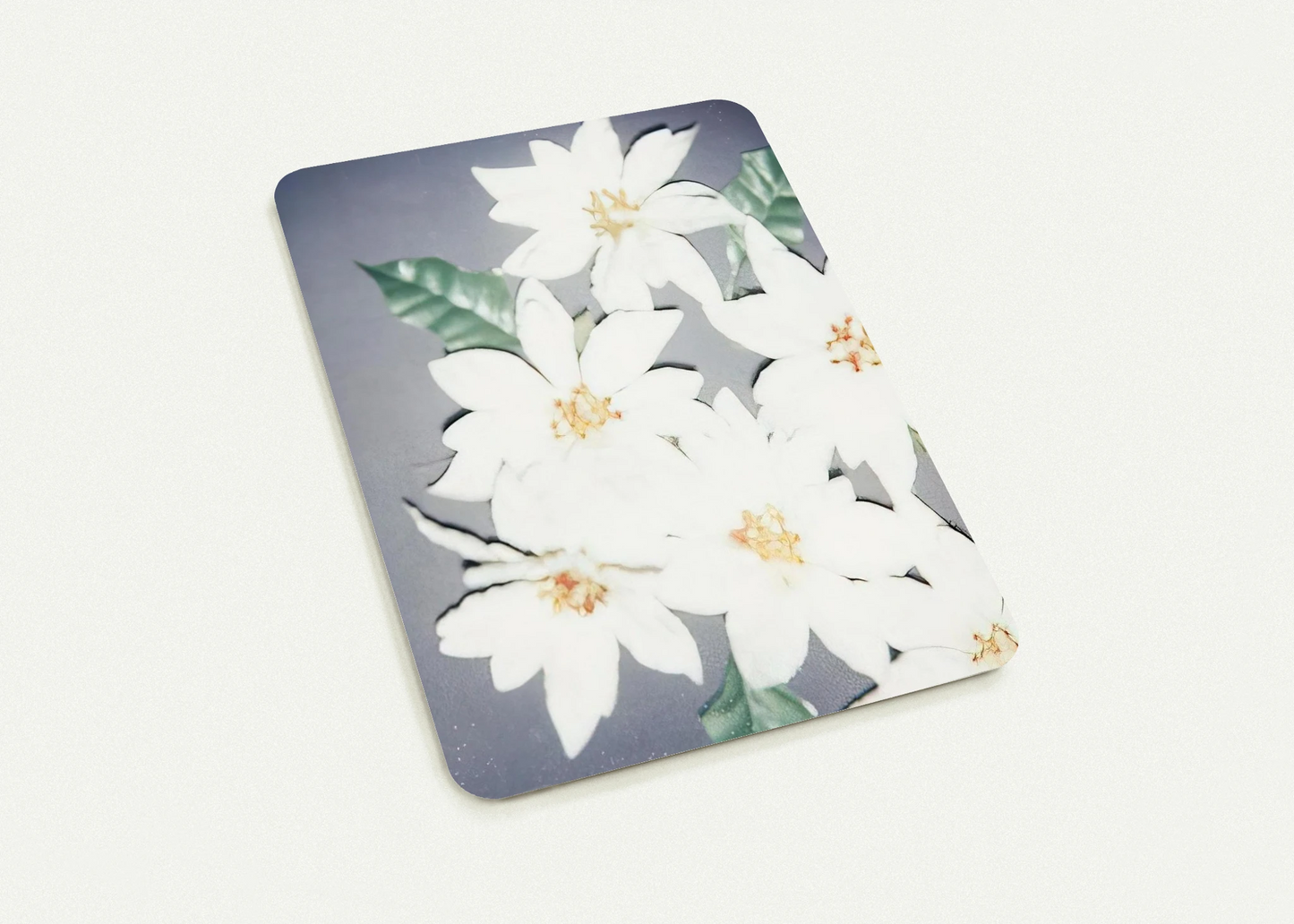 Christmas Poinsettias-White By Andy Warhol Pack of 10 Post Cards | Andy Warhol Post Cards | A6 (10.5 x 14.8 cm) - 4.1 x 5.8 inches
