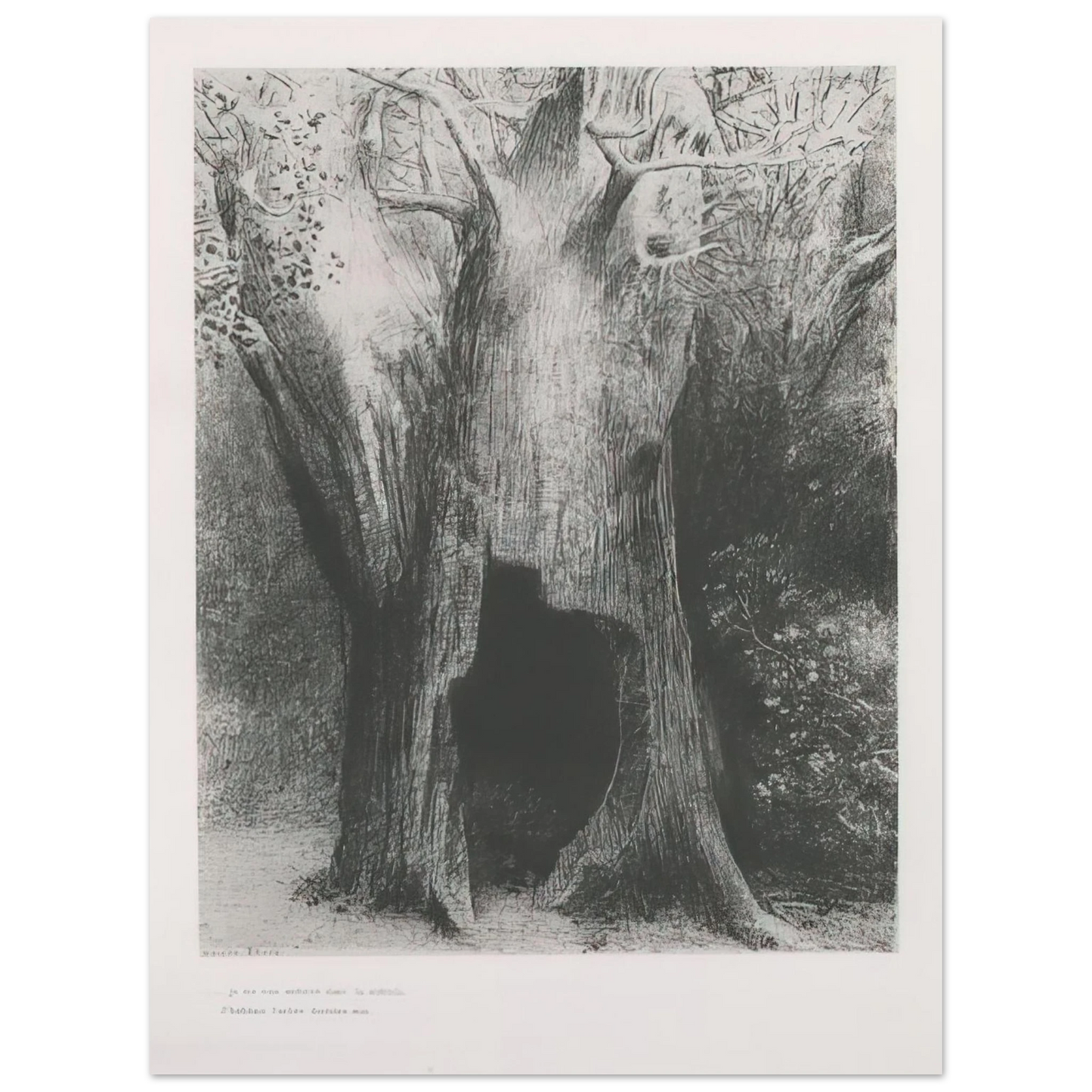 Odilon Redon - I PLUNGED INTO SOLITUDE I DWELT IN THE TREE BEHIND ME PLATE 9 1896  75x100 cm / 30x40inches Fine Art Poster