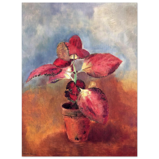 Odilon Redon - BEGONIA IN A POT  75x100 cm / 30x40inches Fine Art Poster