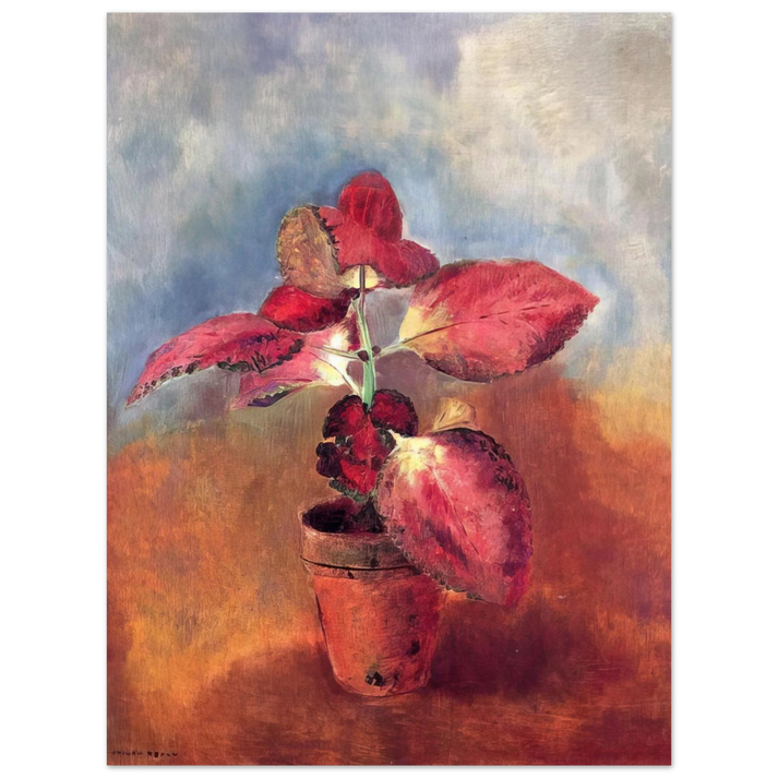 Odilon Redon - BEGONIA IN A POT  75x100 cm / 30x40inches Fine Art Poster