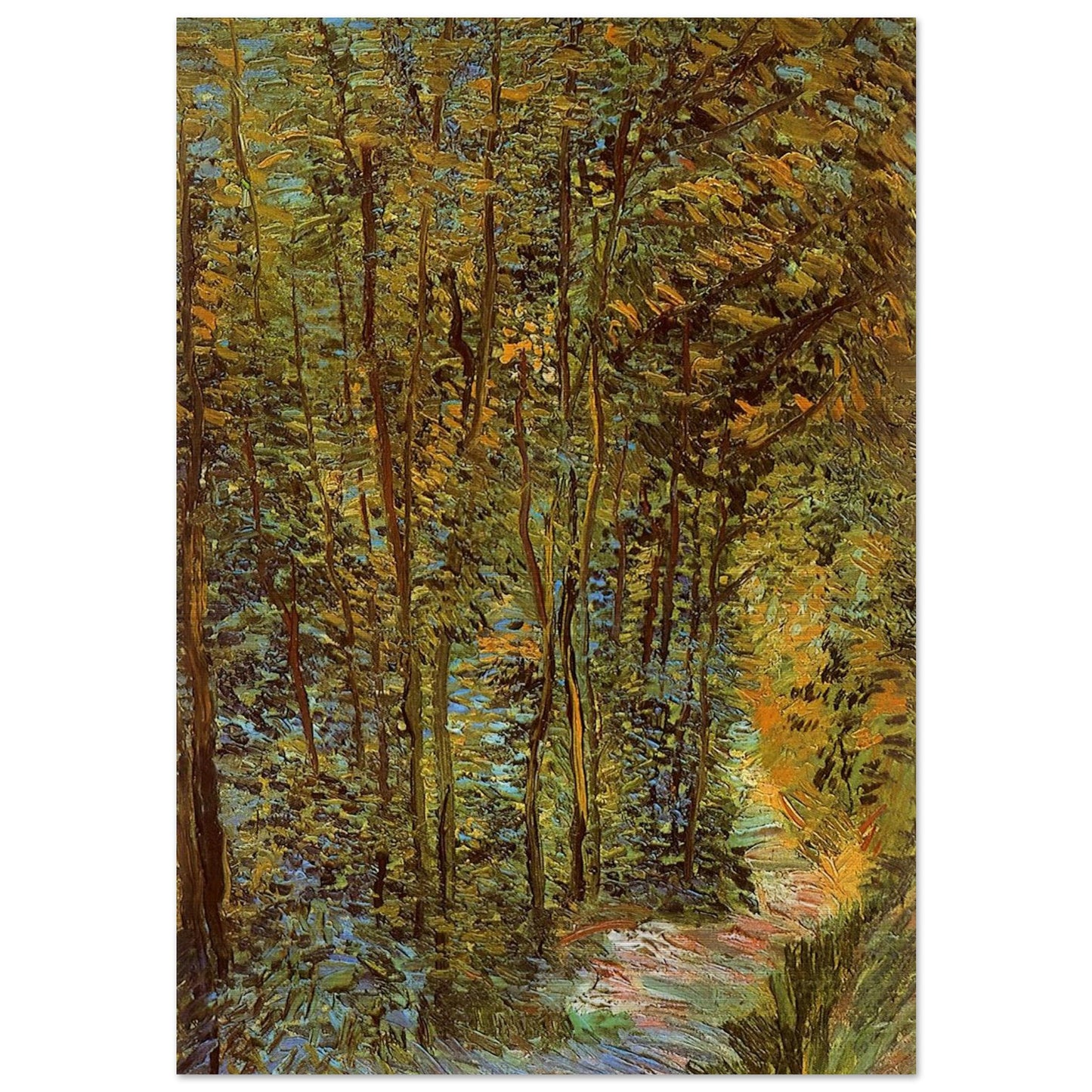 Path in the Woods - Vincent van Gogh Brushed Aluminum Print - 70x100 cm / 28x40 inches | Vincent van Gogh Aluminum Print | Vincent van Gogh Prints
