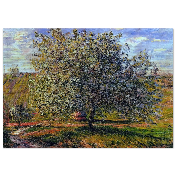 Tree in Flower near Vetheuil - claude monet Brushed Aluminum Print - 70x100 cm / 28x40 inches | claude monet Aluminum Print | claude monet Prints