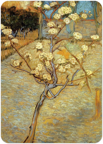 Pear Tree in Blossom By Vincent van Gogh Pack of 10 Post Cards | Vincent van Gogh Post Cards | A6 (10.5 x 14.8 cm) - 4.1 x 5.8 inches