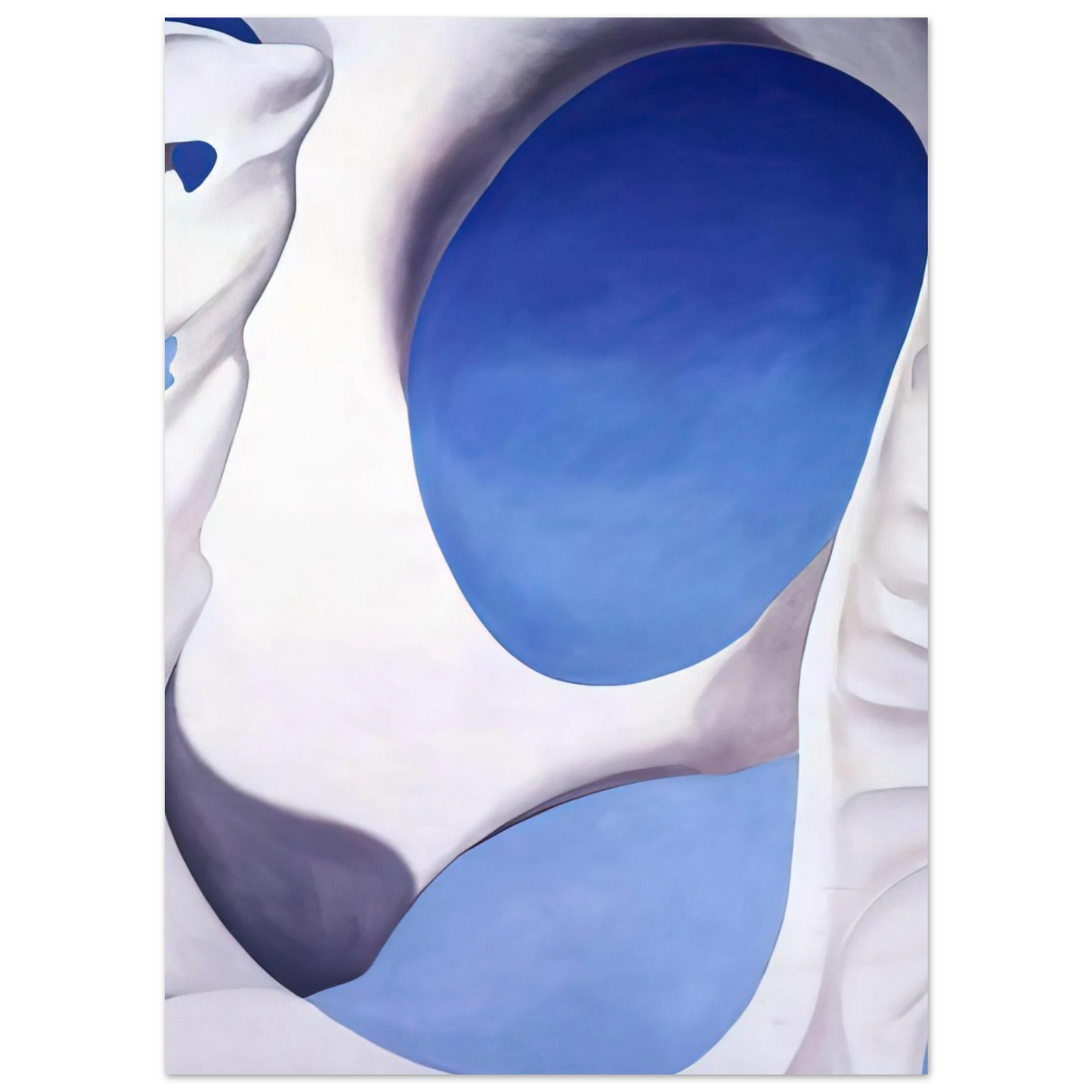 Georgia O'Keeffe - Pelvis II Fine Art Poster