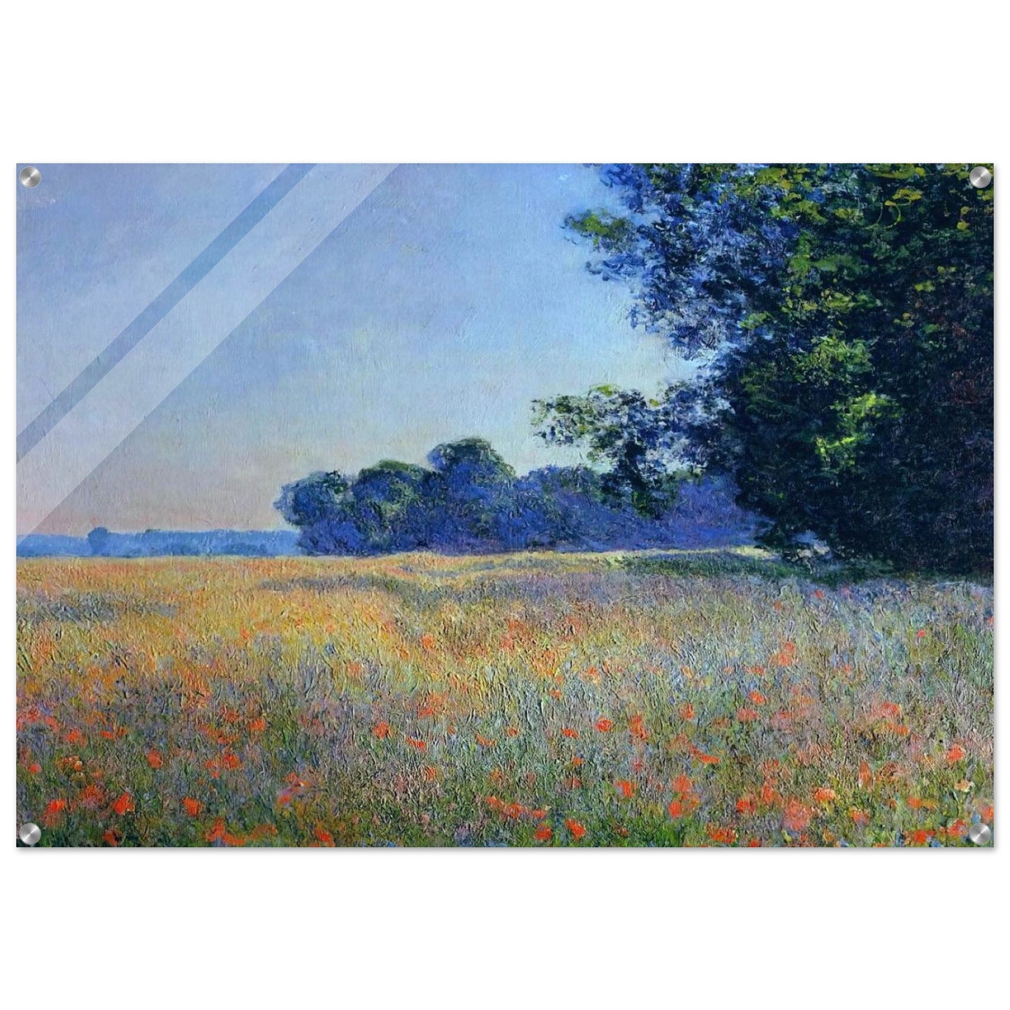 Oat and Poppy Field, Giverny - claude monet Acrylic Print - 70x100 cm / 28x40″ inches