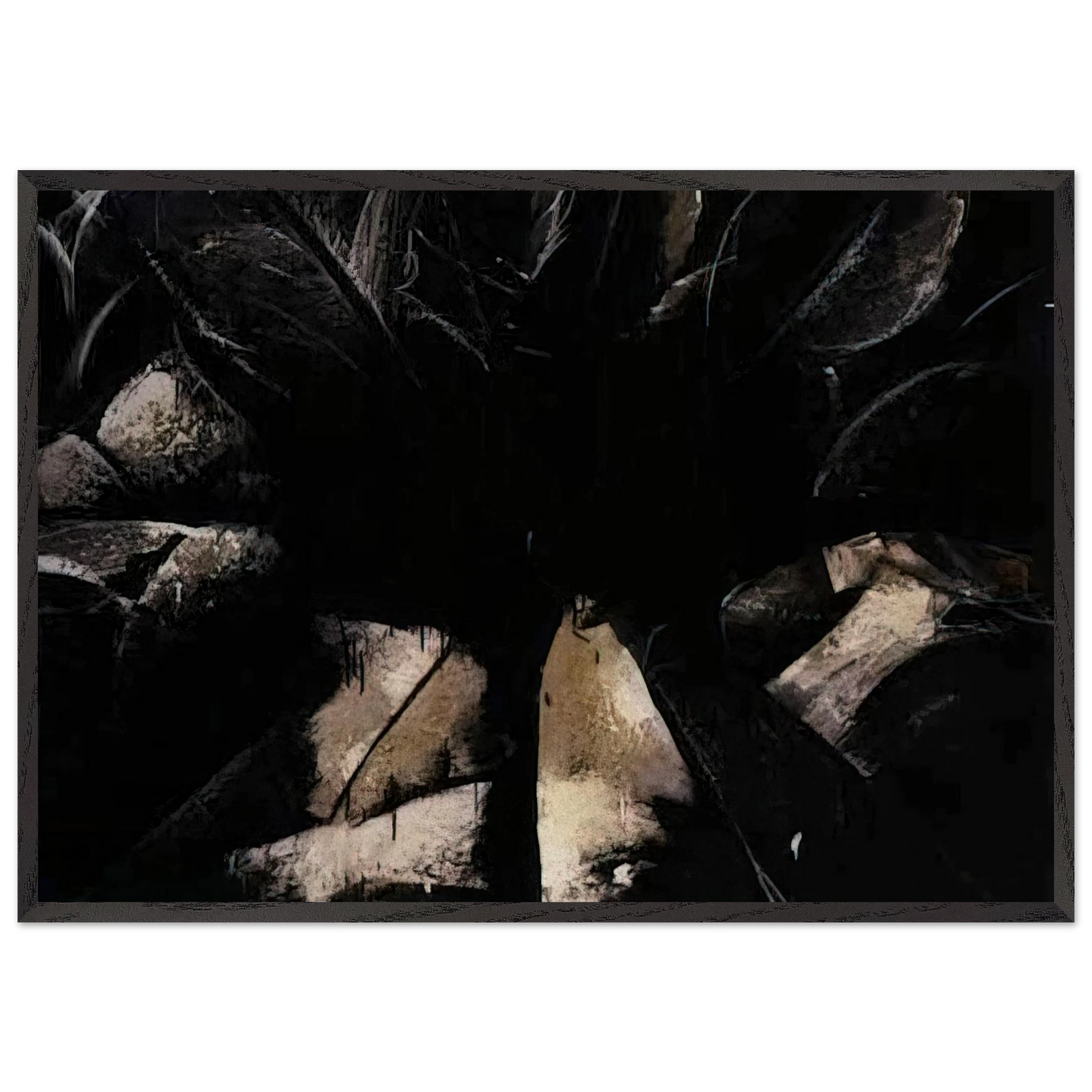 Jay DeFeoBIGCabbage Rose - Jay DeFeo 70x100 cm / 28x40 inches Framed Art Print – Black Wooden Frame
