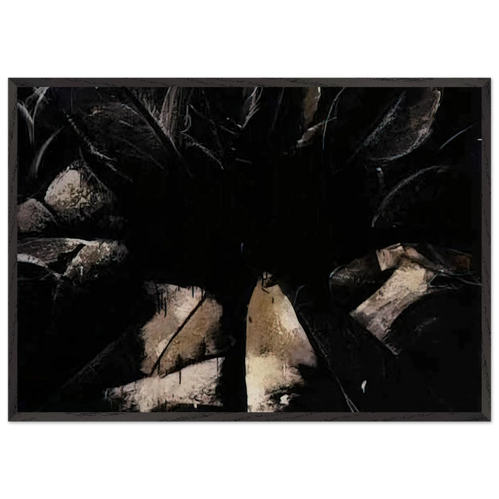 Jay DeFeoBIGCabbage Rose - Jay DeFeo 70x100 cm / 28x40 inches Framed Art Print – Black Wooden Frame