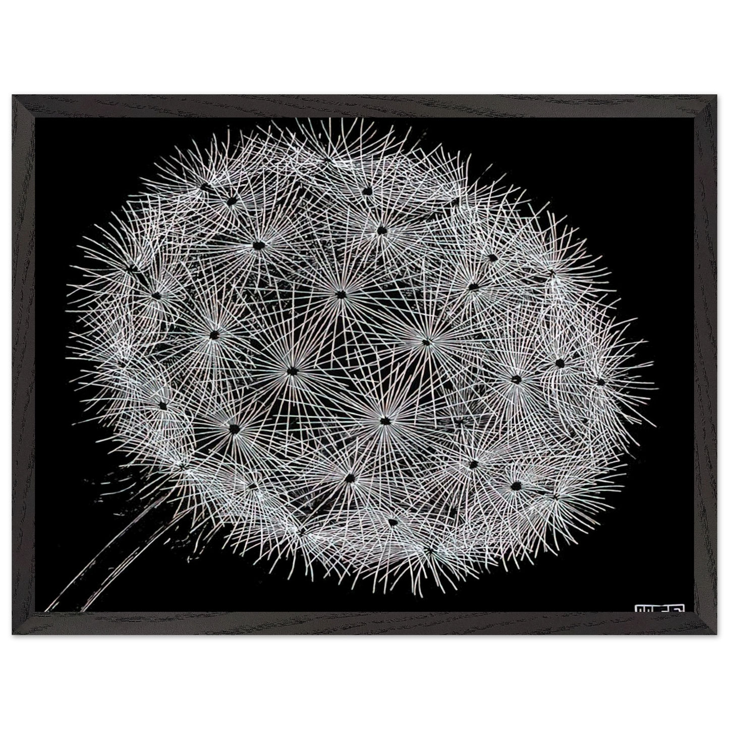MC Escher - BLOWBALL II Wall Art - 21x29.7 cm / 8x12" - Premium Wooden Framed Poster With Fine Art Paper-canvas - Black frame