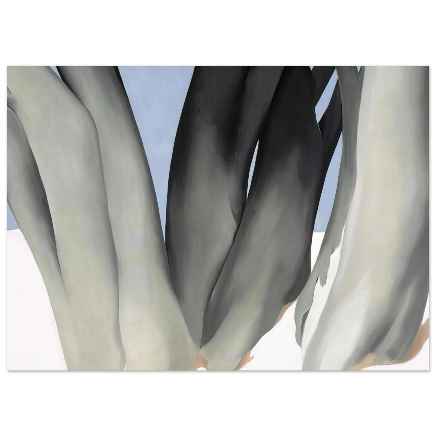 Georgia O'Keeffe - Bare Tree Trunks with Snow Fine Art Poster