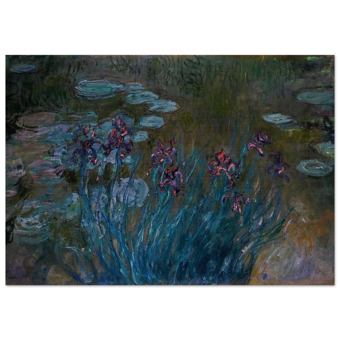 Irises and Water-Lilies - claude monet Brushed Aluminum Print - 70x100 cm / 28x40 inches | claude monet Aluminum Print | claude monet Prints