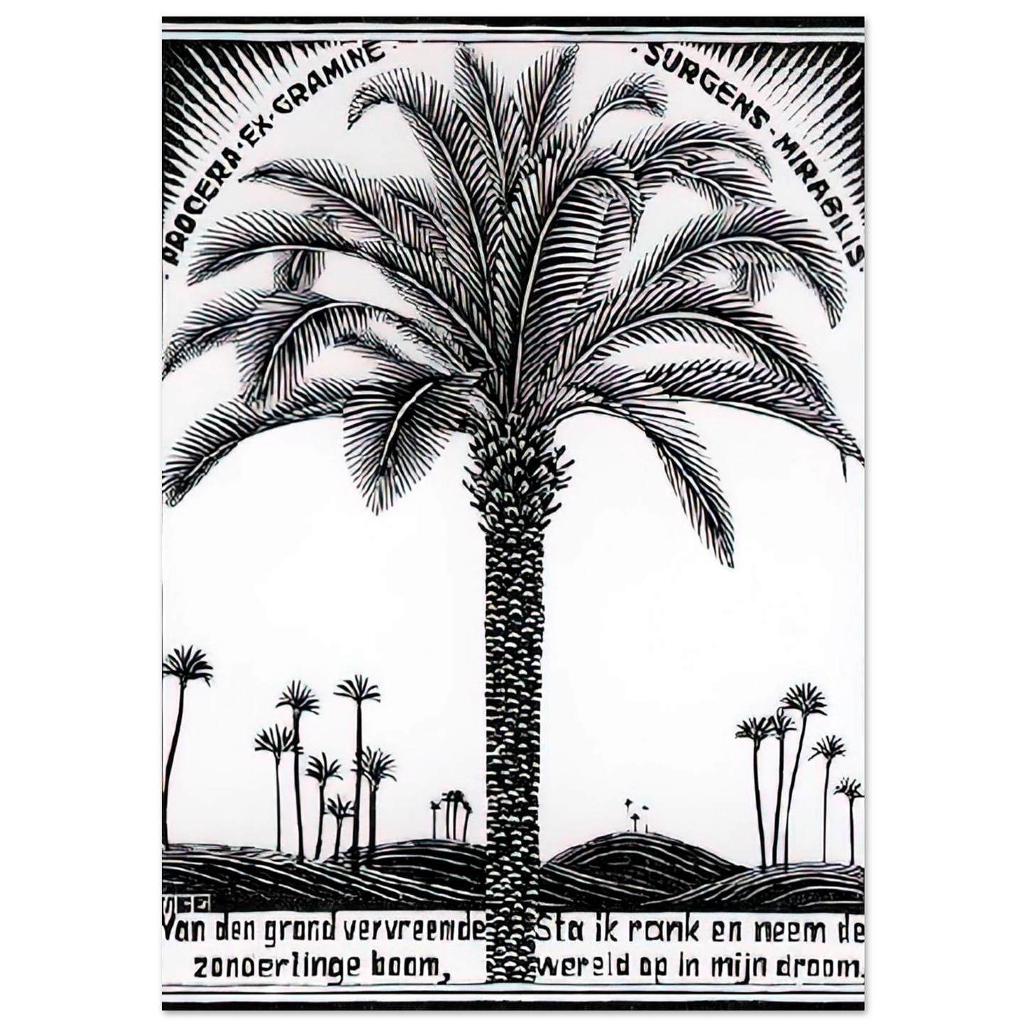 MC Escher - PALM TREE 1 Wall Art - 21x29.7 cm / 8x12" - Premium Wooden Framed Poster With Fine Art Paper-canvas - White frame