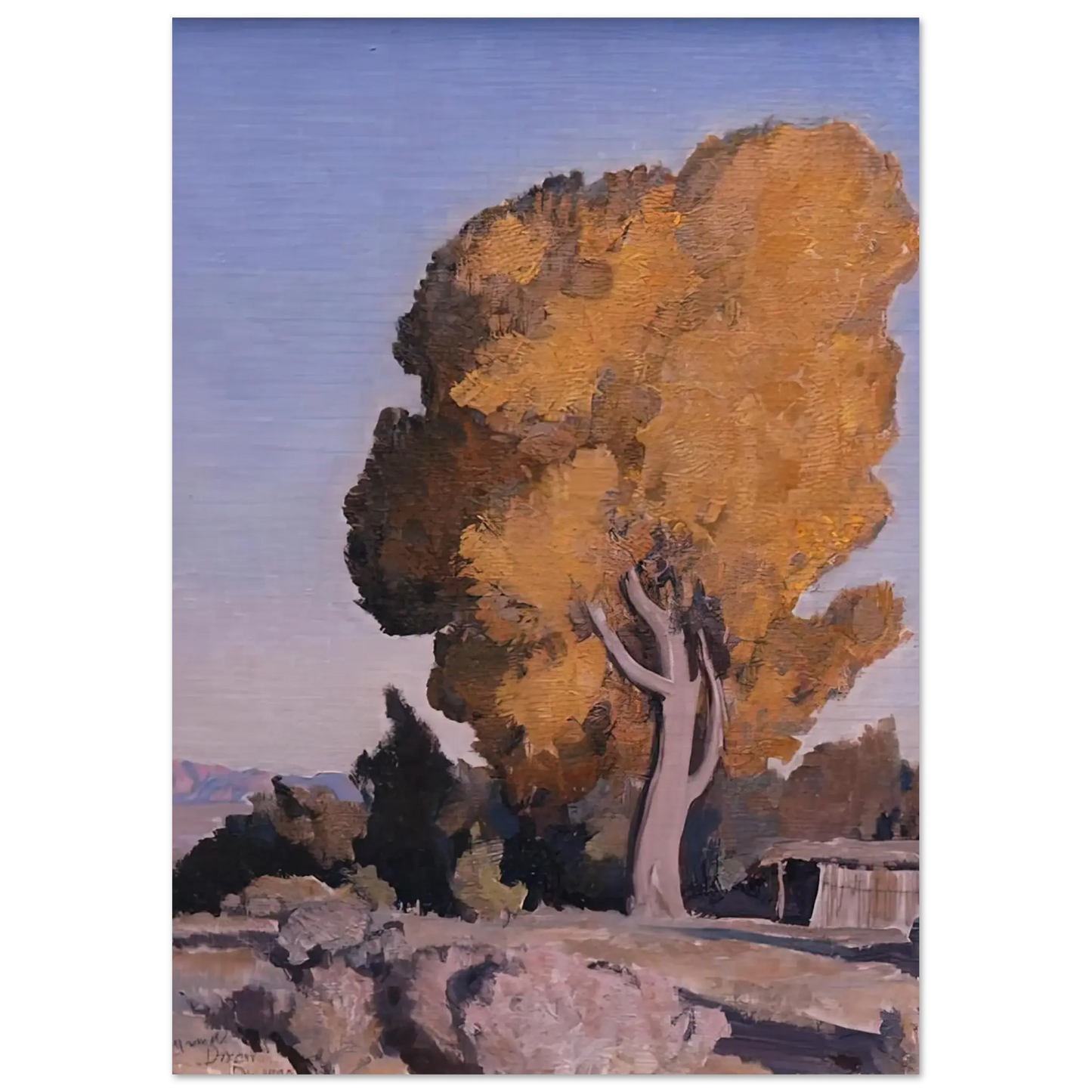 Maynard Dixon - LOW COUNTRY COTTONWOOD 1940 Wall art - 15x20 cm / 6x8 Inches - Fine Art Poster - -