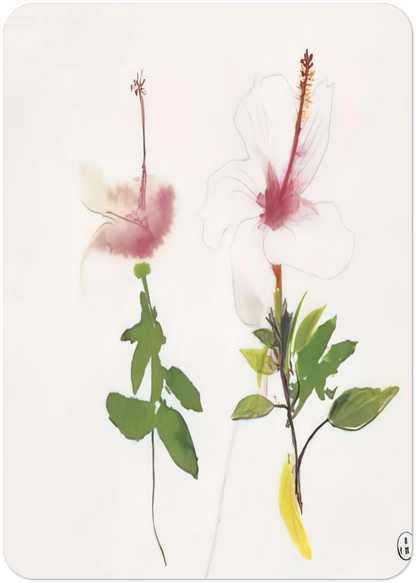 Hibiscus - 1987 By Brett Whiteley Pack of 10 Post Cards | Brett Whiteley Post Cards | A6 (10.5 x 14.8 cm) - 4.1 x 5.8 inches
