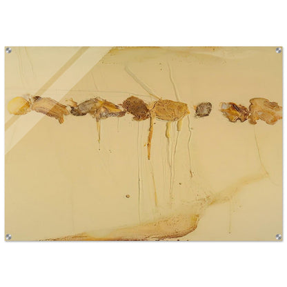 Cheese Race - 1970 - Dieter Roth Acrylic Print - 70x100 cm / 28x40″ inches | Dieter Roth Wall Art | Dieter Roth Prints