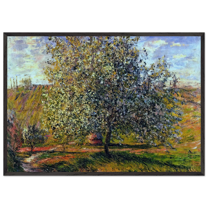 Tree in Flower near Vetheuil - claude monet 70x100 cm / 28x40 inches Framed Art Print – Black Wooden Frame