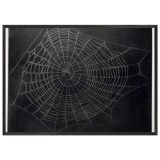 UNTITLED SPIDER WEB 2000 - Vija Celmins 70x100 cm / 28x40 inches Framed Art Print – Black Wooden Frame