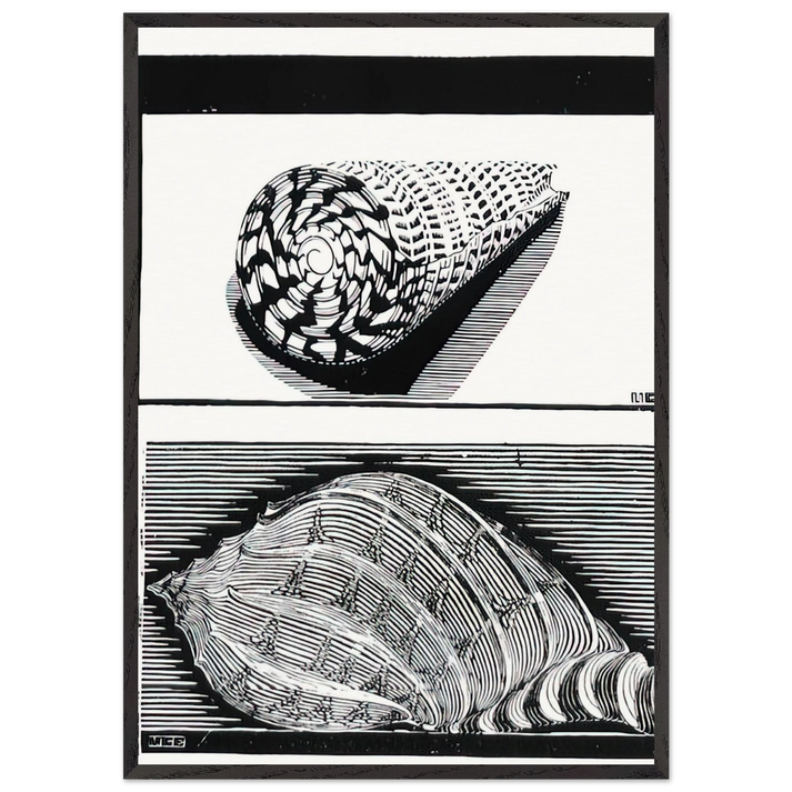 SEA SHELLS - MC Escher 70x100 cm / 28x40 inches Framed Art Print – Black Wooden Frame | Maurits Cornelis Escher Prints