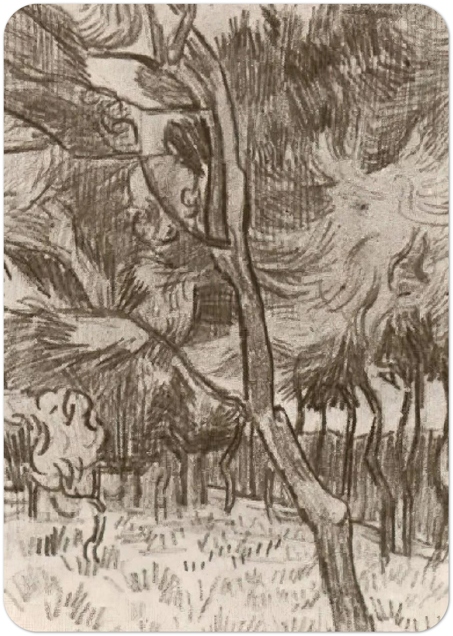 Pine Trees in the Garden of the Asylum By Vincent van Gogh Pack of 10 Post Cards | Vincent van Gogh Post Cards | A6 (10.5 x 14.8 cm) - 4.1 x 5.8 inches