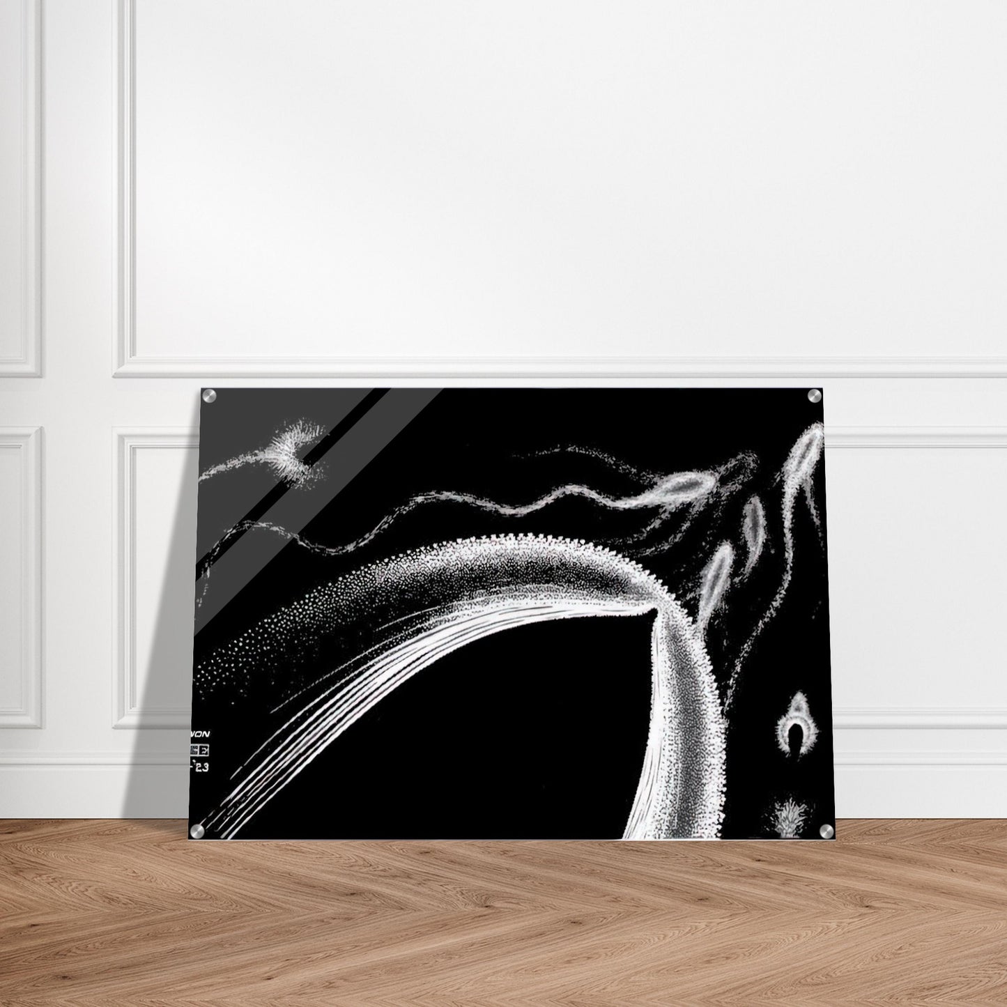 DOLPHINS - MC Escher Acrylic Print - 70x100 cm / 28x40″ inches | MC Escher Wall Art | MC Escher Prints