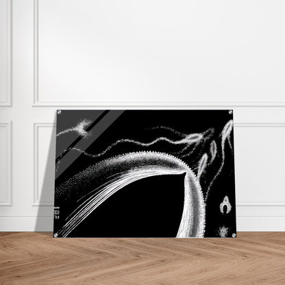 DOLPHINS - MC Escher Acrylic Print - 70x100 cm / 28x40″ inches | MC Escher Wall Art | MC Escher Prints