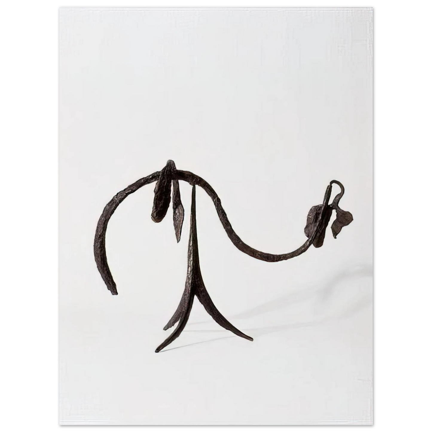 Alexander Calder - THE VINE 1944 Fine Art Poster