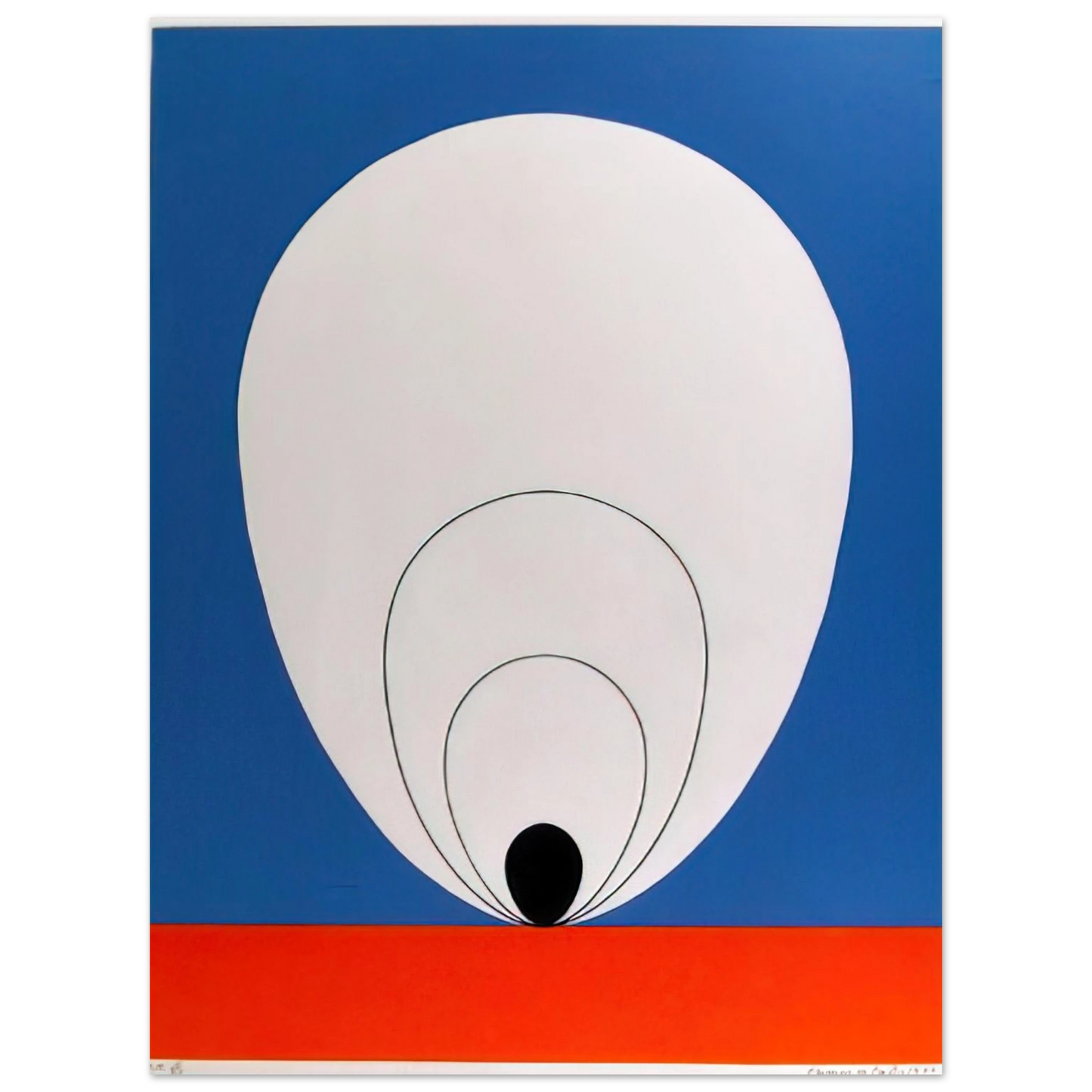 Clarence Holbrook Carter - Tulip - 1978  75x100 cm / 30x40inches Fine Art Poster
