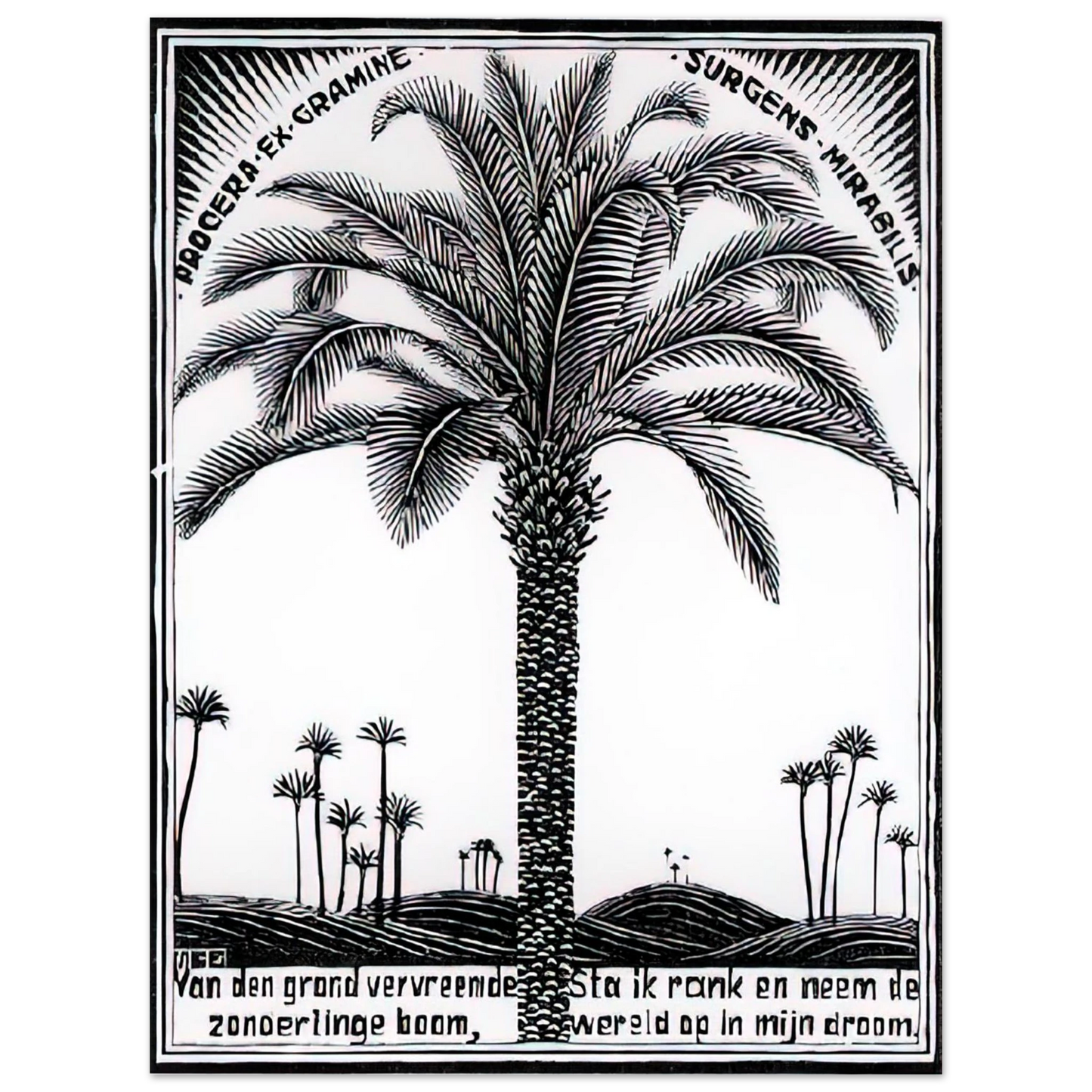 MC Escher - PALM TREE 1 Wall Art - 21x29.7 cm / 8x12" - Premium Wooden Framed Poster With Fine Art Paper-canvas - Black frame