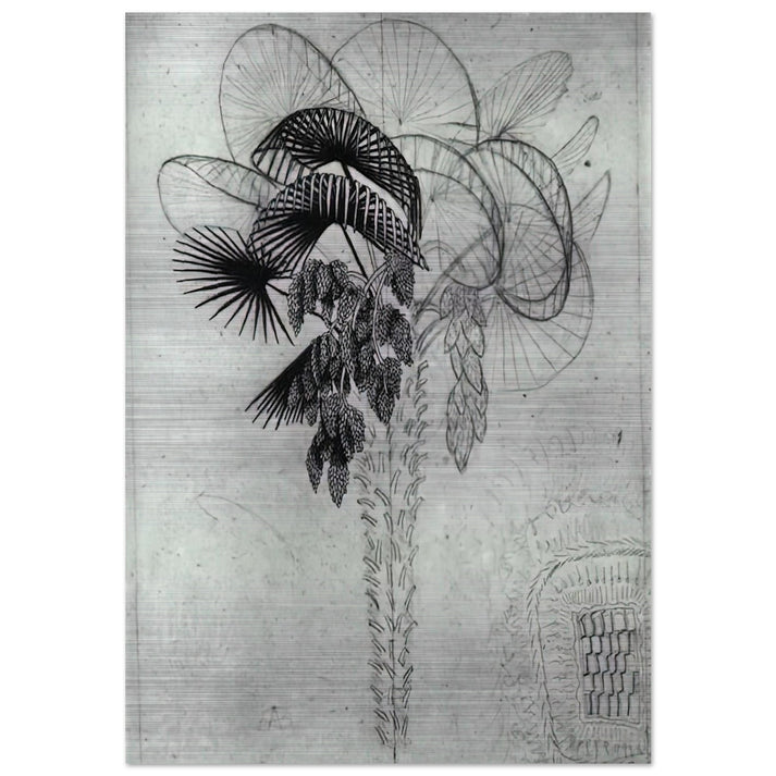 PALM TREE SKETCH - MC Escher Brushed Aluminum Print - 70x100 cm / 28x40 inches | MC Escher Aluminum Print | MC Escher Prints