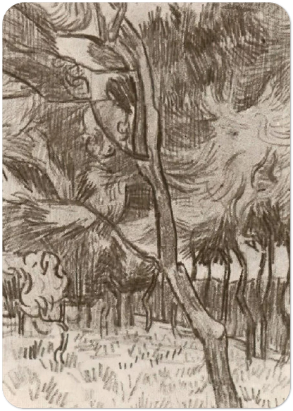 Pine Trees in the Garden of the Asylum By Vincent van Gogh Pack of 10 Post Cards | Vincent van Gogh Post Cards | A6 (10.5 x 14.8 cm) - 4.1 x 5.8 inches
