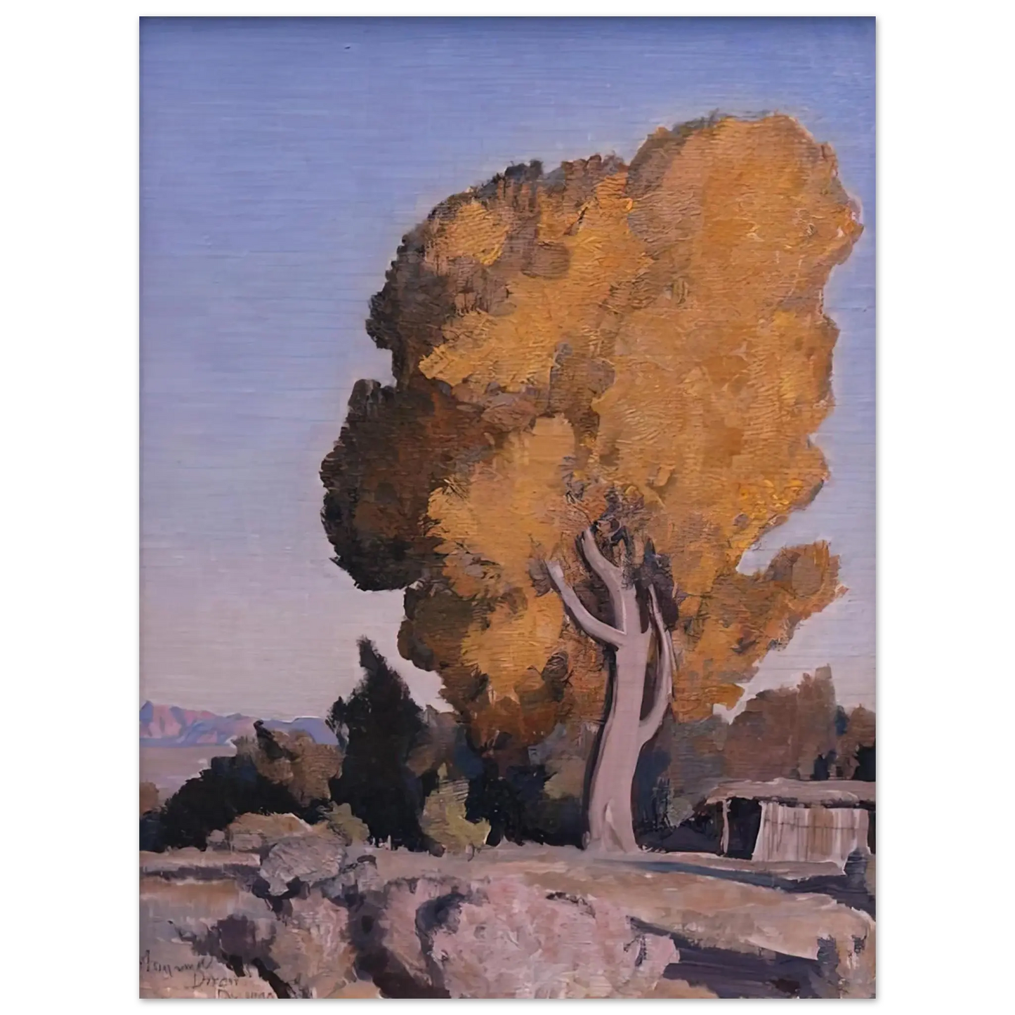 Maynard Dixon - LOW COUNTRY COTTONWOOD 1940 Wall art - 27x35 cm / 11x14 Inches - Premium Wooden Framed Poster With Fine Art Paper - White frame