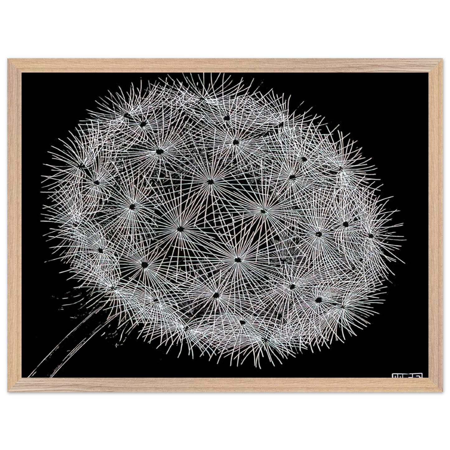 MC Escher - BLOWBALL II Wall Art - 60x80 cm / 24x32 inches - Premium Wooden Framed Poster With Fine Art Paper-canvas - White frame