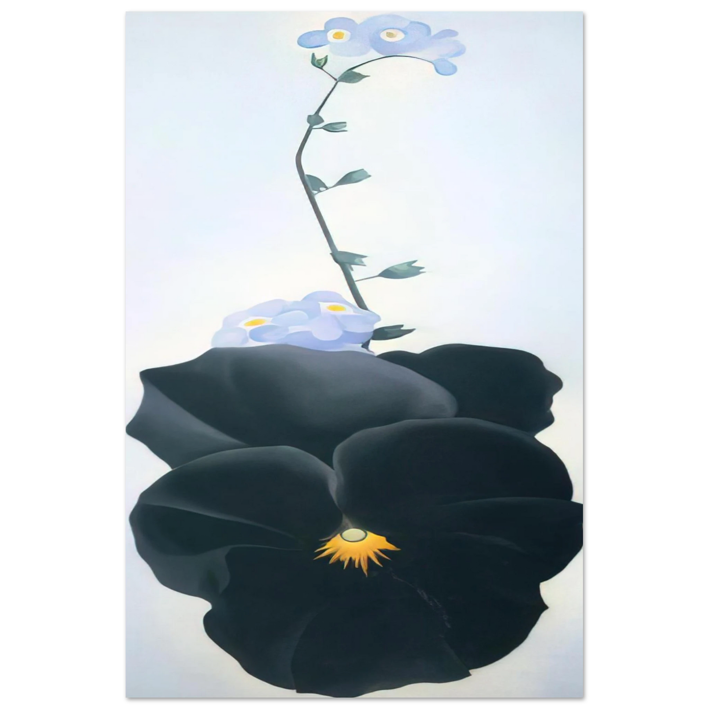 Georgia O'Keeffe - Pansy Fine Art Poster