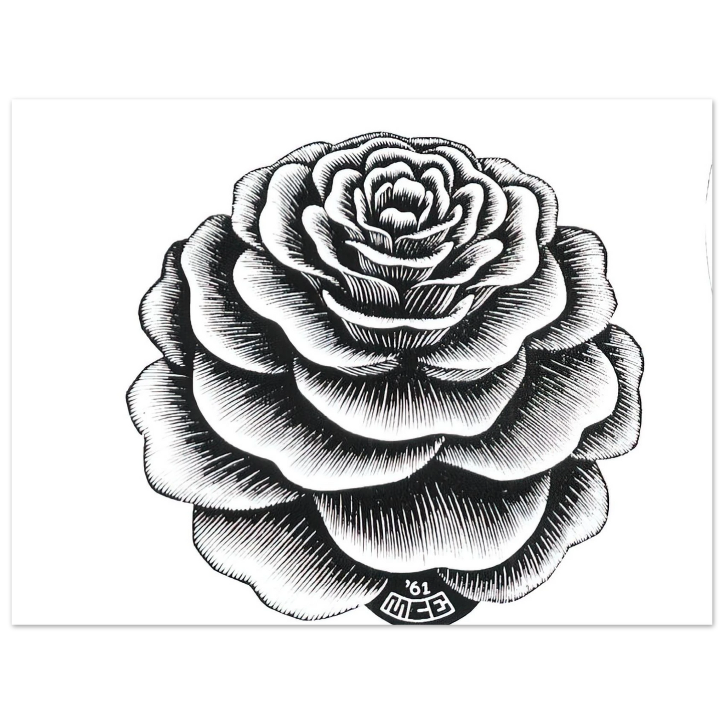 MC Escher - FLOWER 1 Wall Art - 60x80 cm / 24x32 inches - Fine Art Poster-canvas - -