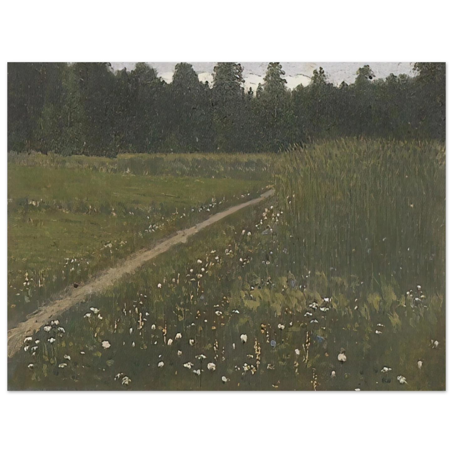 Arkhyp Kuindzhi - Forest Glade  75x100 cm / 30x40inches Fine Art Poster