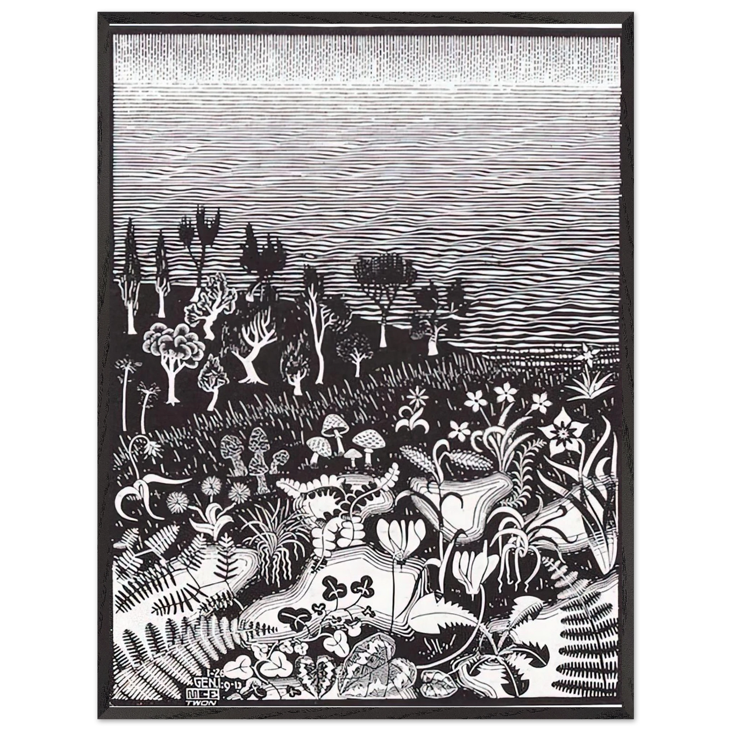 MC Escher - THE 3RD DAY OF THE CREATION Wall Art - 30x40 cm / 12x16 inches - Premium Wooden Framed Poster With Fine Art Paper-canvas - White frame