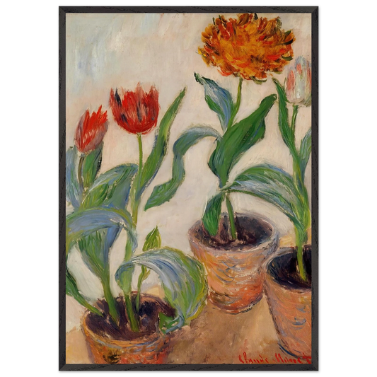 Three Pots of Tulips - claude monet 70x100 cm / 28x40 inches Framed Art Print – Black Wooden Frame