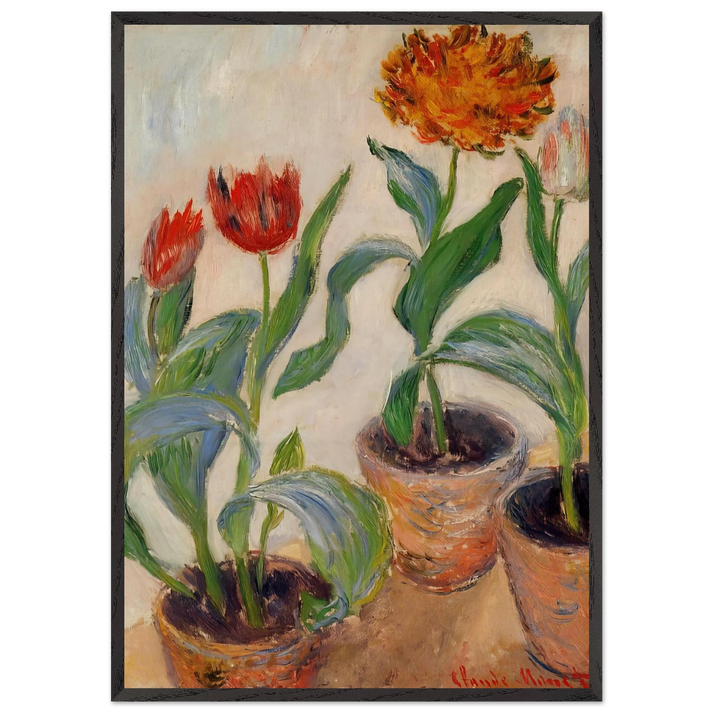 Three Pots of Tulips - claude monet 70x100 cm / 28x40 inches Framed Art Print – Black Wooden Frame