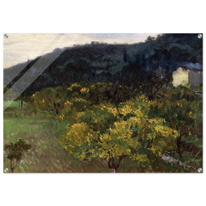 Landscape near Grasse - John Singer Sargent Acrylic Print - 70x100 cm / 28x40″ inches