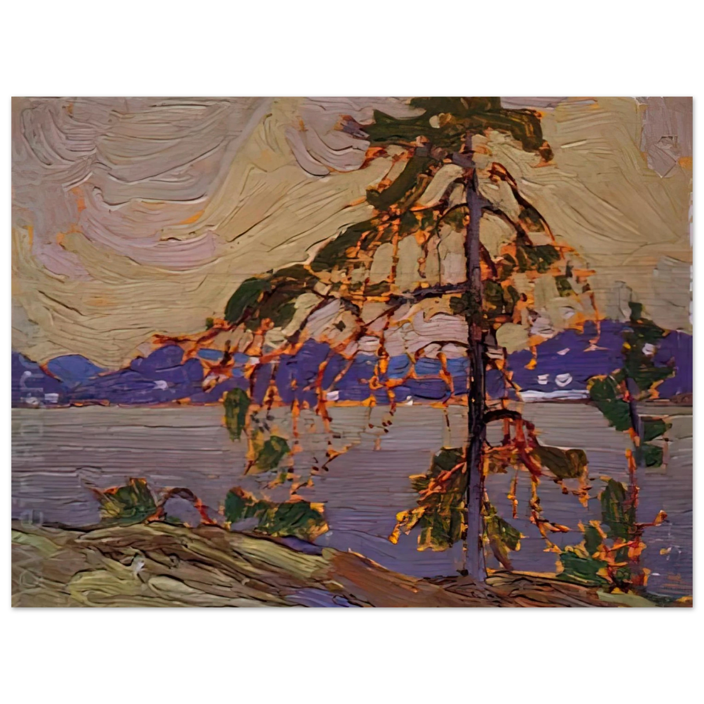 Tom Thomson - SKETCH FOR THE JACK PINE 1916  75x100 cm / 30x40inches Fine Art Poster