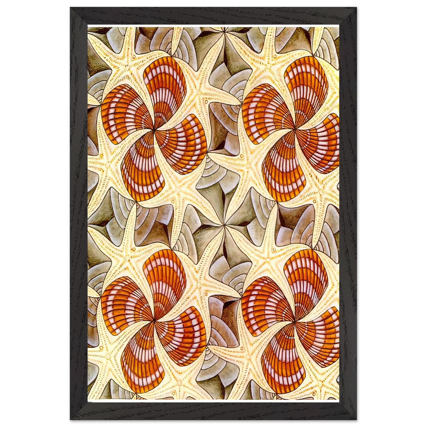 MC Escher - SHELLS AND STARFISH Wall Art - 30x40 cm / 12x16 inches - Premium Wooden Framed Poster With Fine Art Paper - Black frame