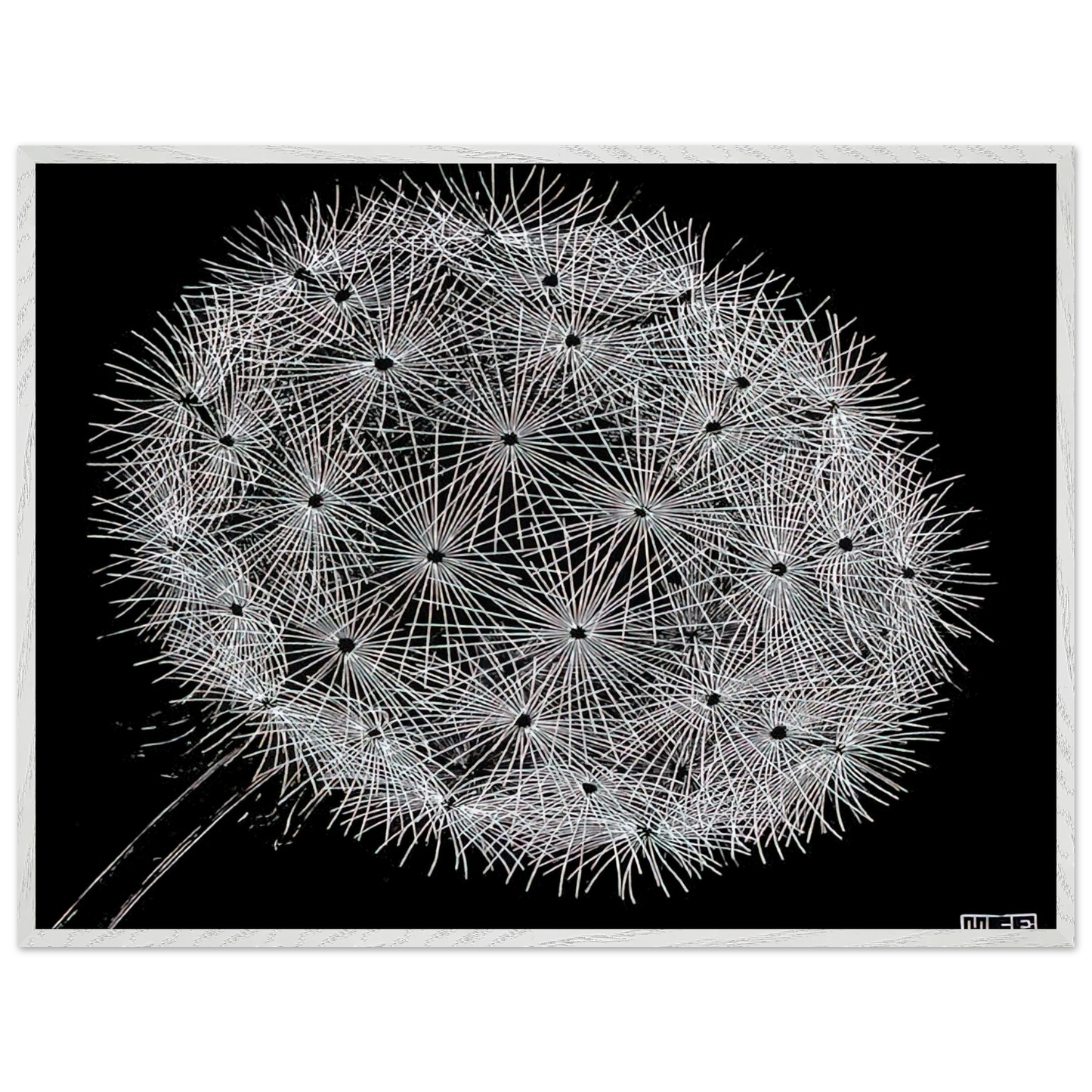 MC Escher - BLOWBALL II Wall Art - 30x40 cm / 12x16 inches - Premium Wooden Framed Poster With Fine Art Paper-canvas - Wood frame