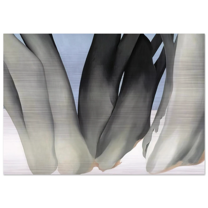 Bare Tree Trunks with Snow - Georgia O'Keeffe Brushed Aluminum Print - 70x100 cm / 28x40 inches | Georgia O'Keeffe Aluminum Print | Georgia O'Keeffe Prints